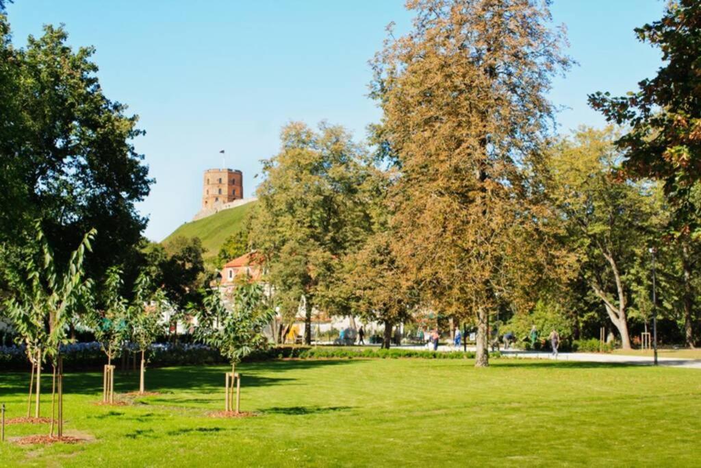 Private Sauna & 4 Bedrooms Old Town Rooftop Vilnius